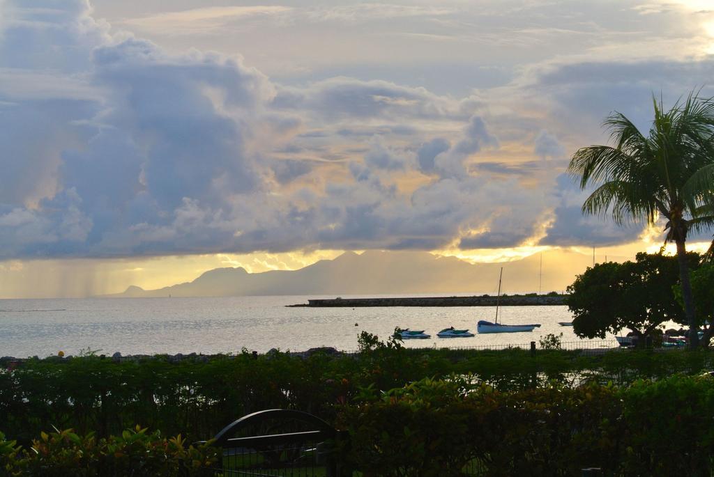 Savannah Guadeloupe Saint-Francois  Bagian luar foto