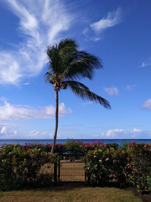 Savannah Guadeloupe Saint-Francois  Bagian luar foto